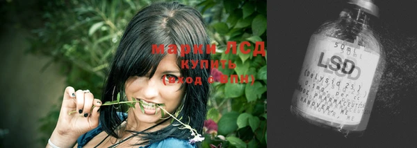 тгк Кулебаки