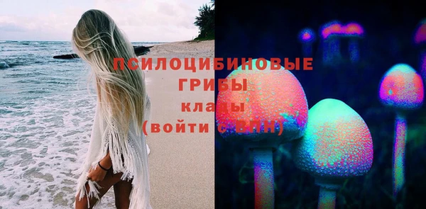 тгк Кулебаки
