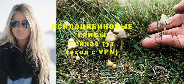 молекула духа Кукмор