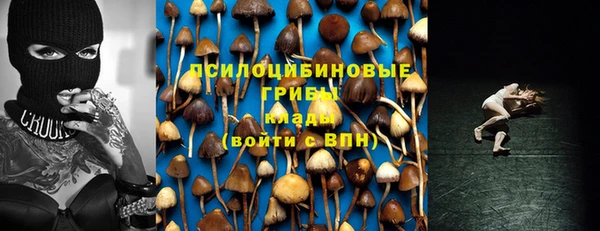 СК Ладушкин