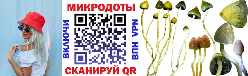 Галлюциногенные грибы прущие грибы  Николаевск 